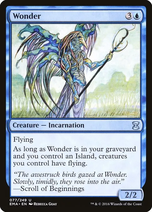 Wonder - Foil