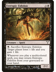 Entropic Eidolon
