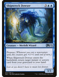 Shipwreck Dowser - Foil