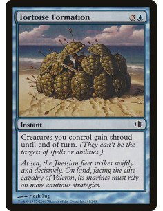 Tortoise Formation