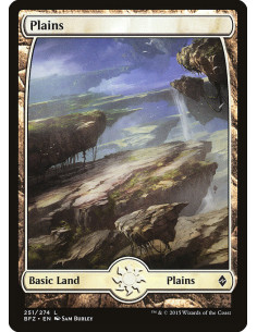 Plains