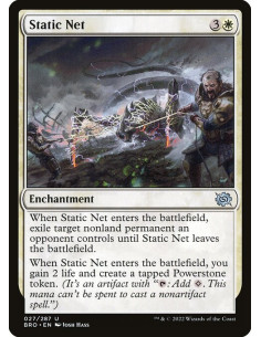Static Net - Foil