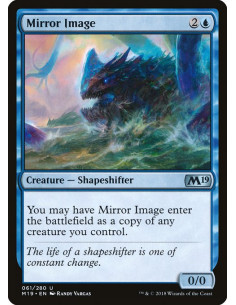 Mirror Image - Foil