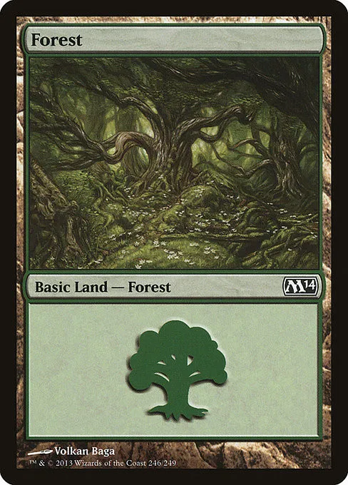 Forest - Foil