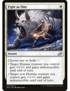 Fight as One - Foil