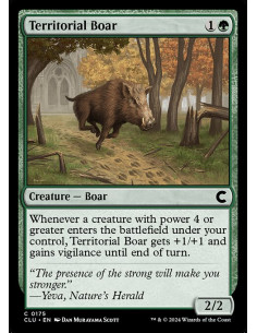 Territorial Boar