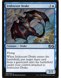 Iridescent Drake