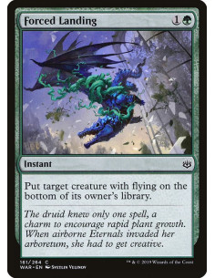 Forced Landing - Foil