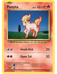Ponyta