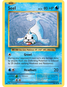 Seel