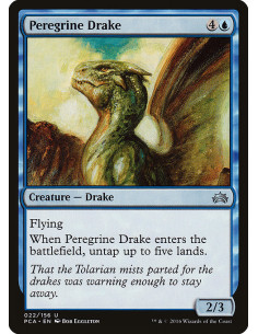 Peregrine Drake