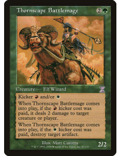 Thornscape Battlemage