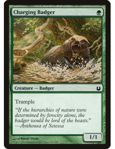Charging Badger