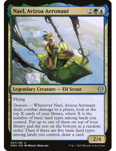 Nael, Avizoa Aeronaut