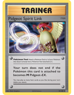 Pidgeot Spirit Link