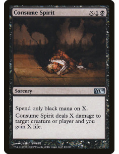 Consume Spirit