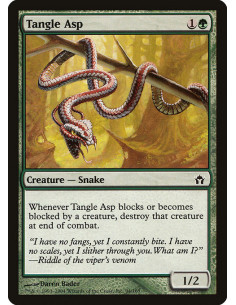 Tangle Asp - Foil