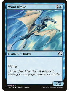 Wind Drake