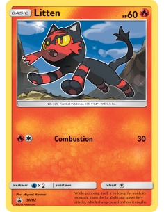 Litten