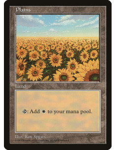 Plains