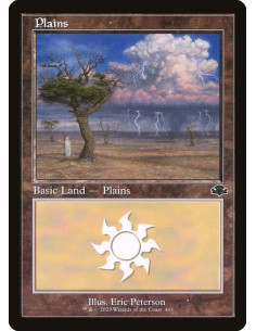 Plains - Foil
