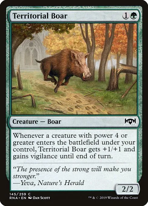 Territorial Boar - Foil