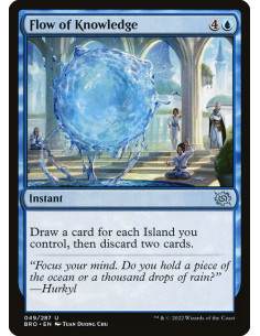 Flow of Knowledge - Foil