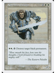 Northern Paladin