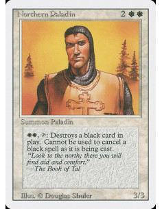 Northern Paladin