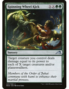 Spinning Wheel Kick - Foil