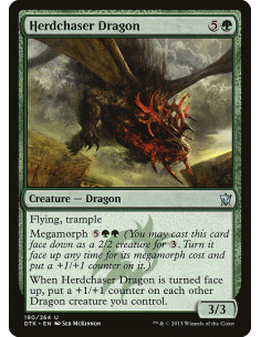 Herdchaser Dragon