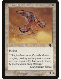 Suntail Hawk - Foil