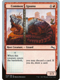 Common Iguana - Foil