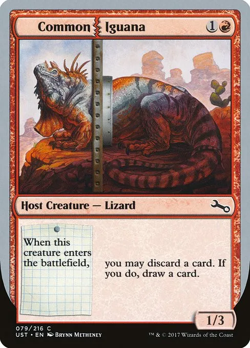 Common Iguana - Foil