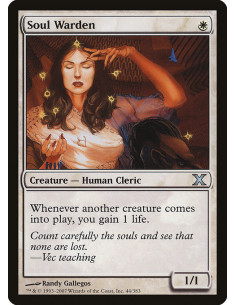 Soul Warden