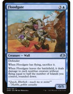 Floodgate