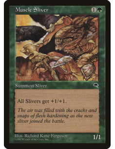 Muscle Sliver