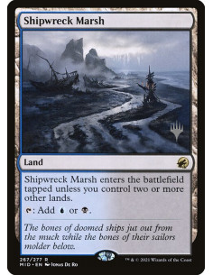 Shipwreck Marsh