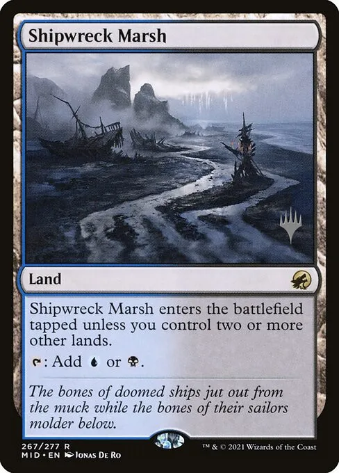 Shipwreck Marsh - Foil