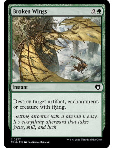 Broken Wings