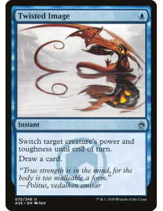 Twisted Image - Foil