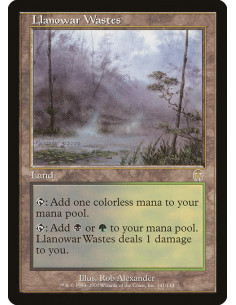 Llanowar Wastes - Foil