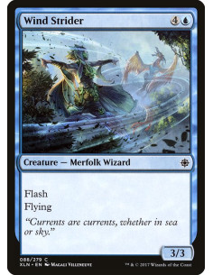 Wind Strider - Foil