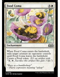 Food Coma - Foil