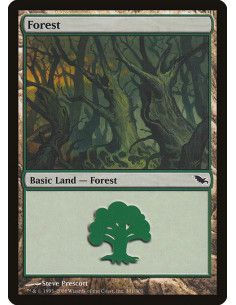 Forest - Foil