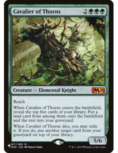 Cavalier of Thorns