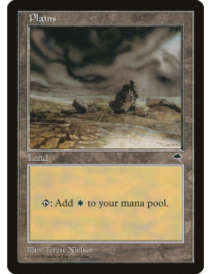 Plains