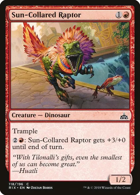 Sun-Collared Raptor - Foil
