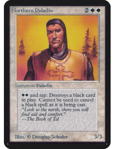 Northern Paladin
