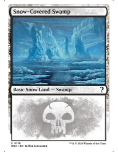 Snow-Covered Swamp